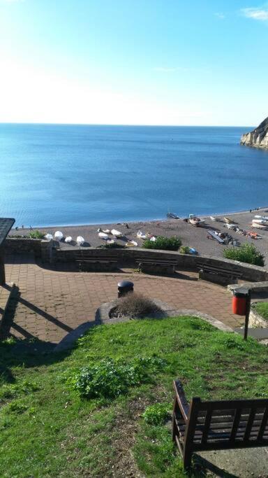 No 27 A Dog Friendly Rural Coastal Chalet Villa Seaton Luaran gambar